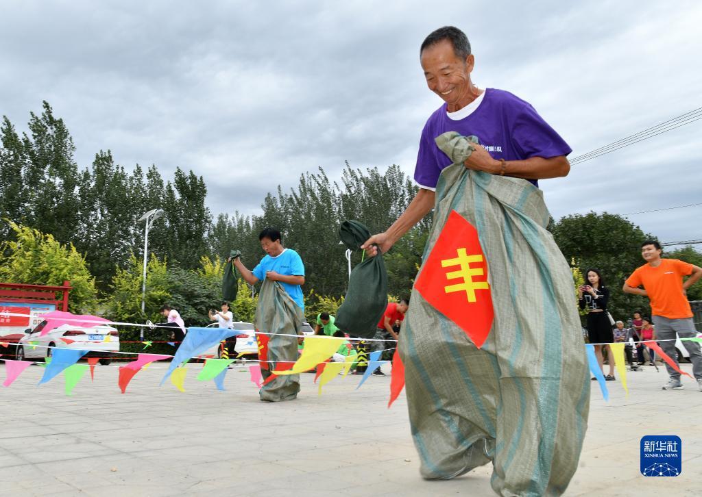 摇钱树app下载